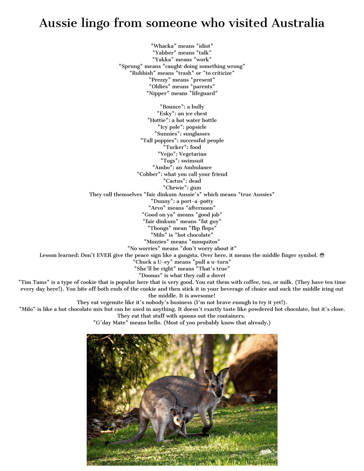 Image featuring a list of Australian slang terms and their meanings. At the bottom, there is a photo of a wombat and a kangaroo standing on grass, perfectly complementing your Wondermom Shop Adventures in Australia Activity Pack.
