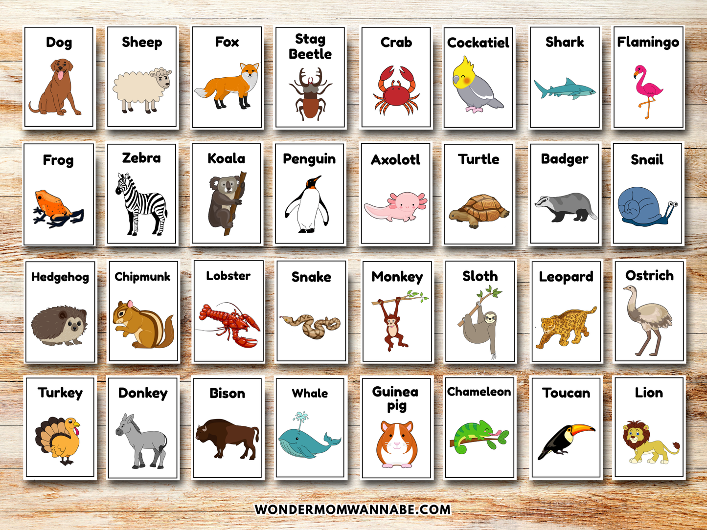 Animal Game Cards