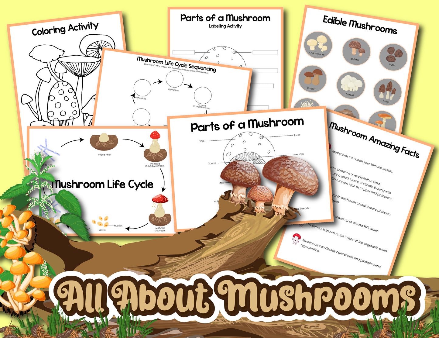 An educational poster from Wondermom Shop titled "Mushroom Activity Set" featuring the mushroom life cycle, parts of a mushroom, edible mushrooms, a coloring activity, and intriguing mushroom facts.