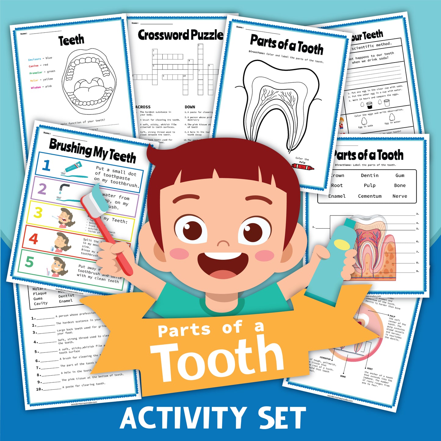 Image of a child holding a toothbrush and toothpaste, surrounded by educational activity sheets about parts of a tooth and dental hygiene. Text: "Wondermom Shop Tooth Activity Set for Better Dental Health".