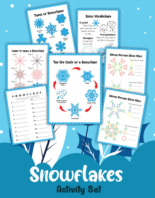 Image of a Snowflakes Activity Set from Wondermom Shop, featuring various educational worksheets such as "Types of Snowflakes," "Snow Vocabulary," "Learn to Draw a Snowflake," and "The Life Cycle of Snowflakes.