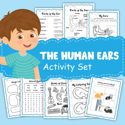 Image of "Human Ear Activity" from Wondermom Shop, showcasing interactive worksheets on ear anatomy, senses of sound, word searches, and activities focused on listening and identifying sounds, with a cartoon boy on the left.
