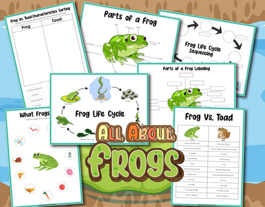 Discover the "Frog Activity Set" by Wondermom Shop, featuring educational worksheets and illustrations that cover frog anatomy, the frog vs. toad comparison, the life cycle of frogs, and characteristics sorting. The title "All About Frogs" offers in-depth insights into the frog life cycle with engaging sequencing activities.