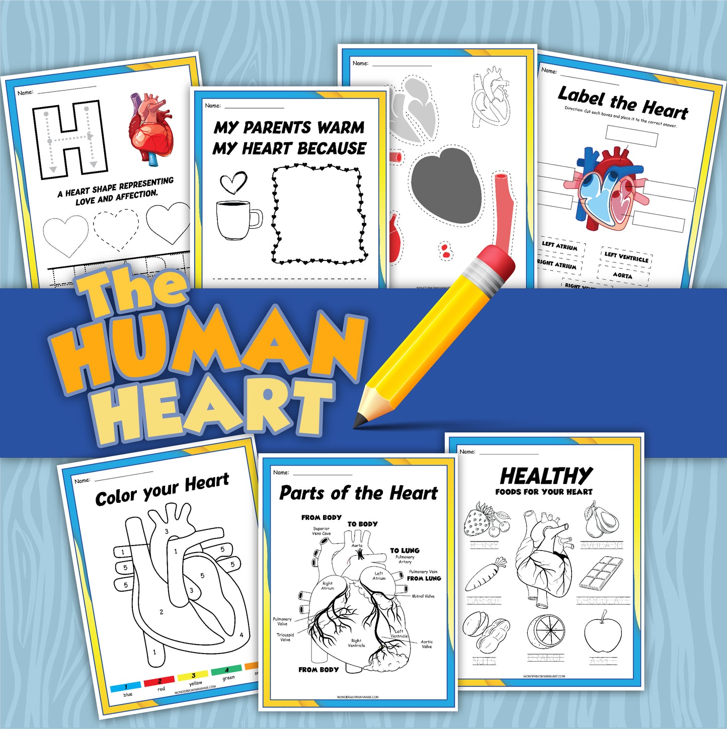 The Heart Activity Set by Wondermom Shop includes educational materials titled "The Human Heart," featuring various heart-themed worksheets such as "Color your Heart," "Parts of the Heart," and "Healthy Foods for Your Heart," along with engaging content on animals that hibernate from the Hibernation Activity Pack.