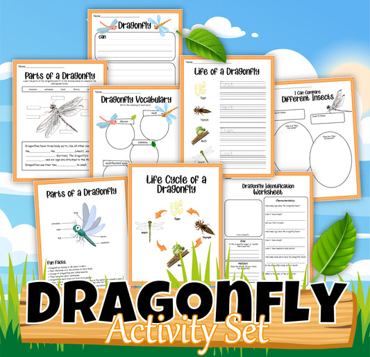 A collection of educational worksheets about dragonflies, including diagrams, the dragonfly life cycle, vocabulary, and identification activities, titled "Dragonfly Activity Set" from Wondermom Shop against a backdrop of sky and grass.