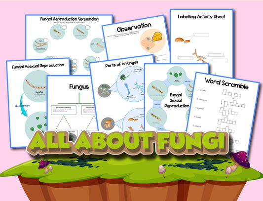 A display featuring educational worksheets about fungi, perfect for young biologists and nature enthusiasts. Topics include fungal reproduction, parts of a fungus, and a word scramble. The title "All About Fungi" is prominently shown as part of the engaging Fungi Activity Set by Wondermom Shop.