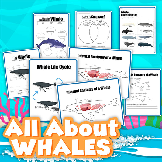 Introducing the Whale Activity Set from Wondermom Shop—a collection of educational posters that provide comprehensive information on whale parts, the whale life cycle, internal anatomy, classification, and a Venn diagram comparison. Text reads "All About Whales.
