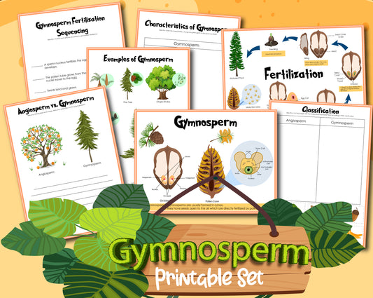 The Educational printable set titled "Gymnosperm Activity Set" by Wondermom Shop is designed for young botanists, featuring worksheets on fertilization, characteristics, examples, classification, and comparison with angiosperms. The pack is colorfully depicted alongside detailed leaf illustrations.