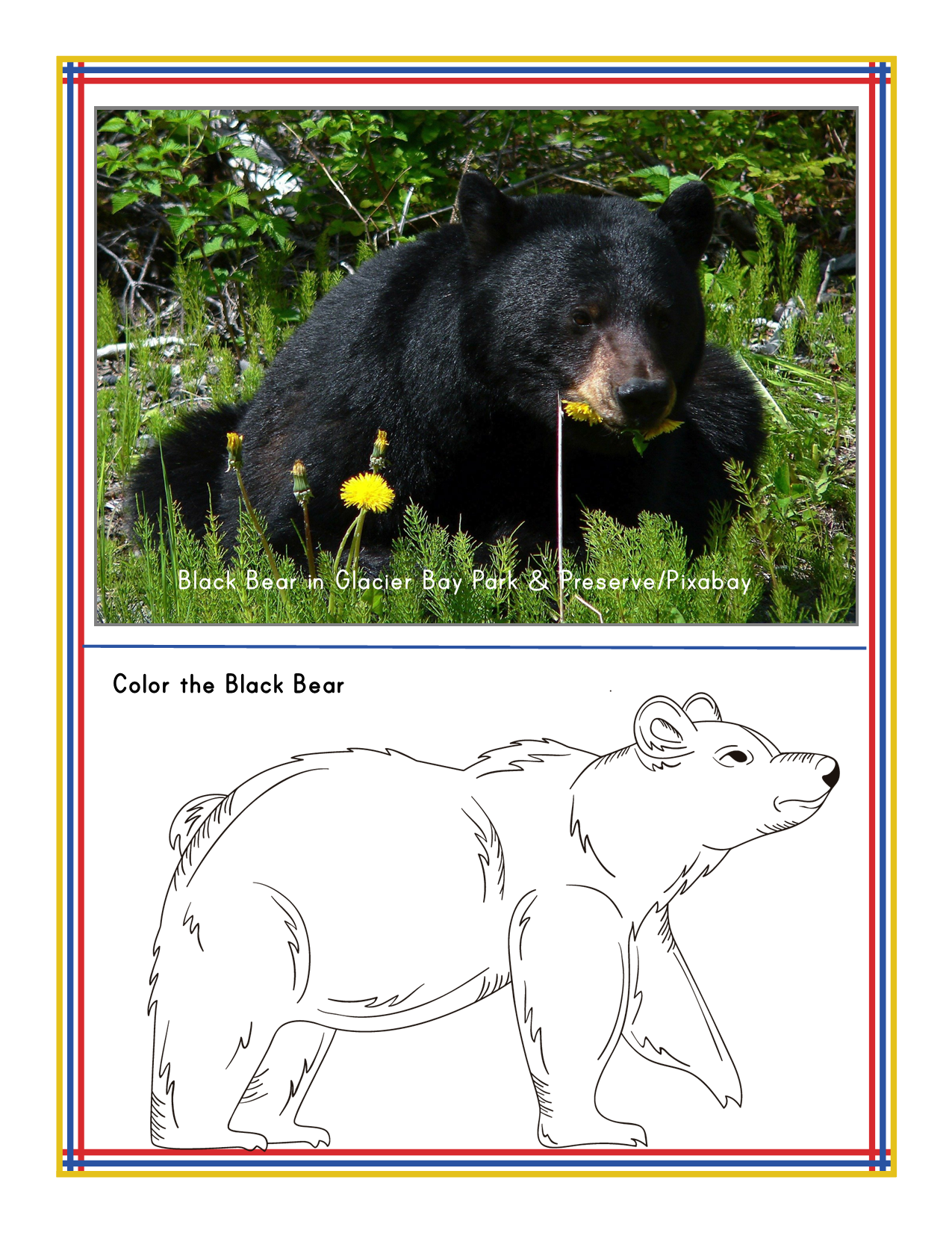 Alaska Activity Kit