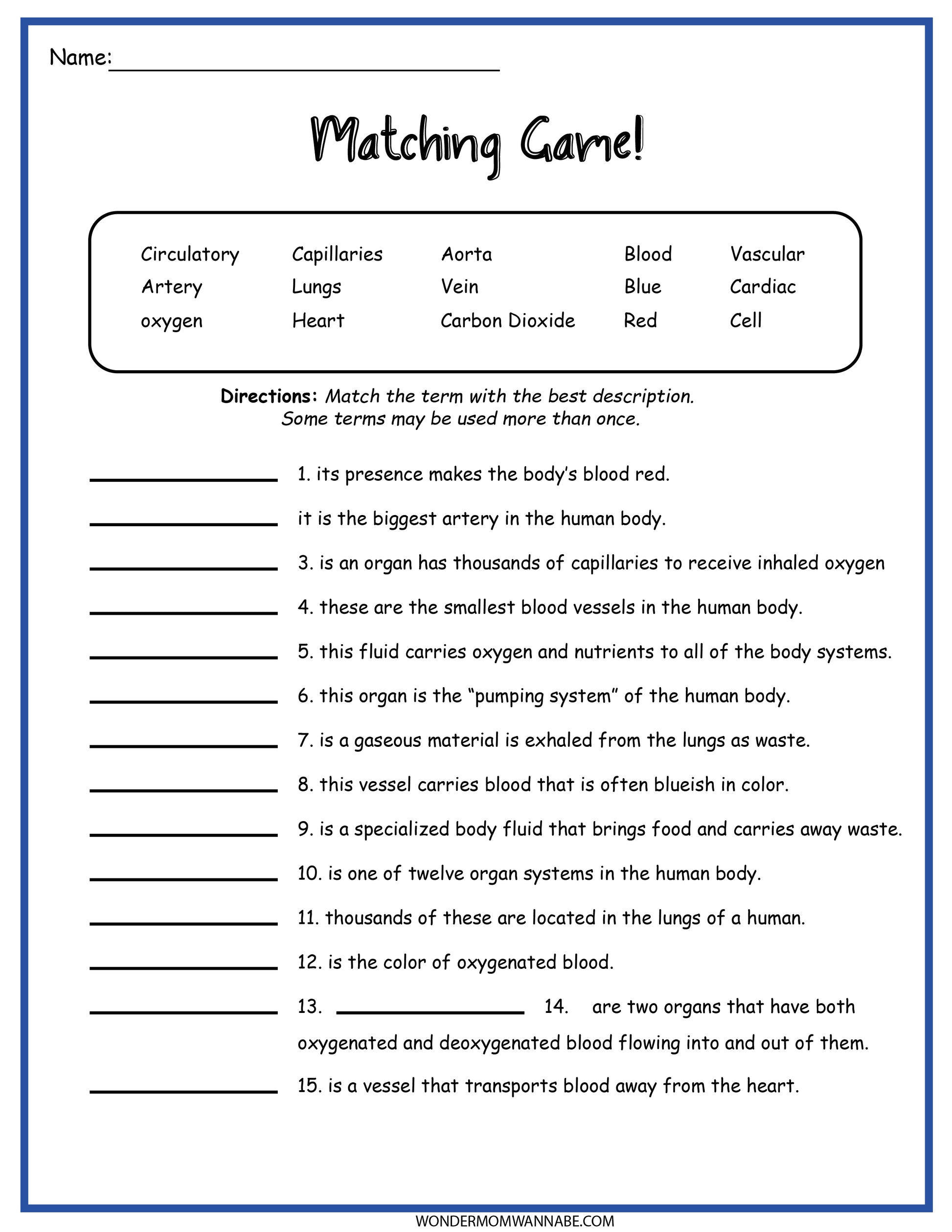A Circulatory System Activity Set with the words matching carnivores and carnivores, by Wondermom Shop.