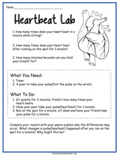 Load image into Gallery viewer, Wondermom Shop&#39;s Circulatory System Activity Set is the heartbeat lab worksheet.
