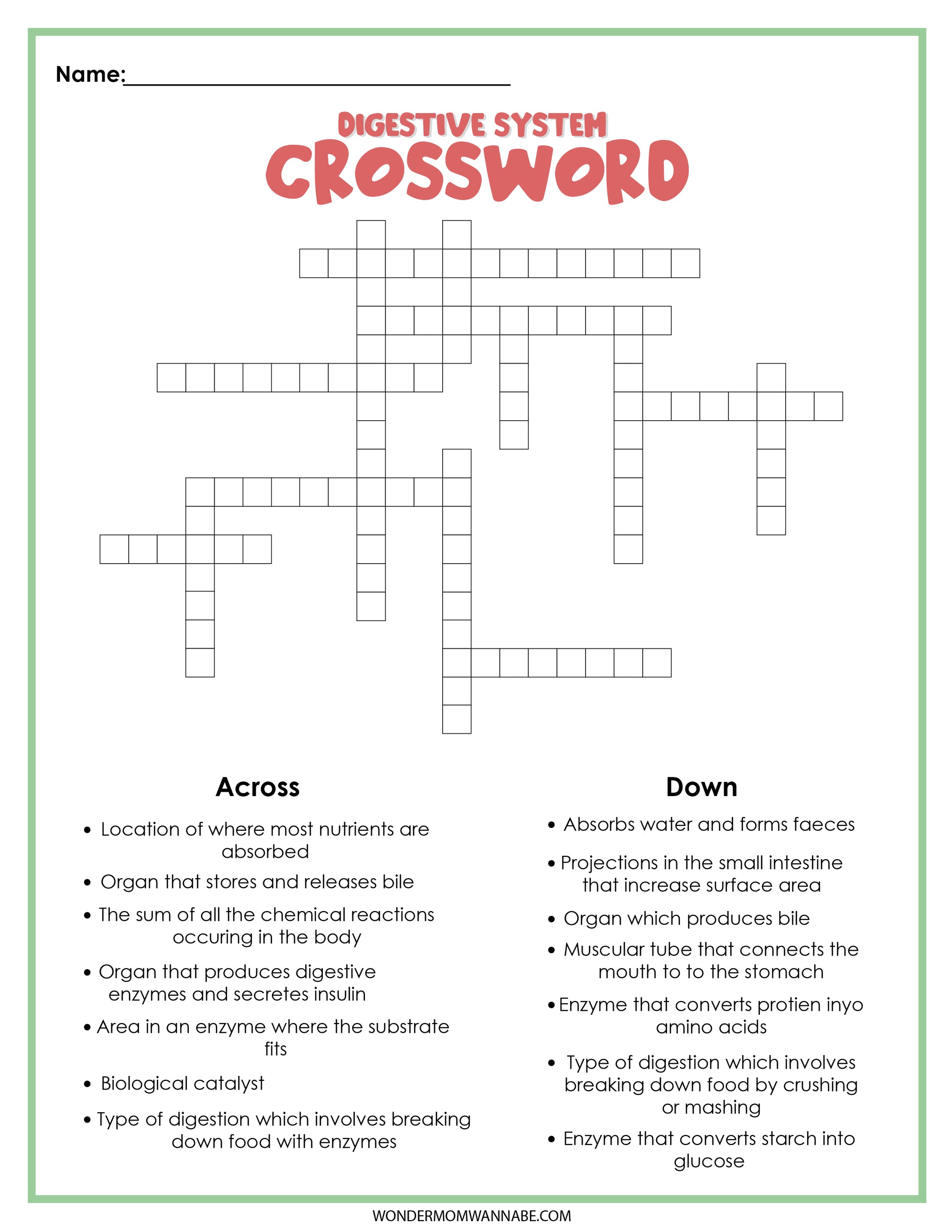 The "Digestive System" crossword puzzle, included in the Digestive System Activity Set by Wondermom Shop, features clues about enzymes, organs, and processes involved in digestion.