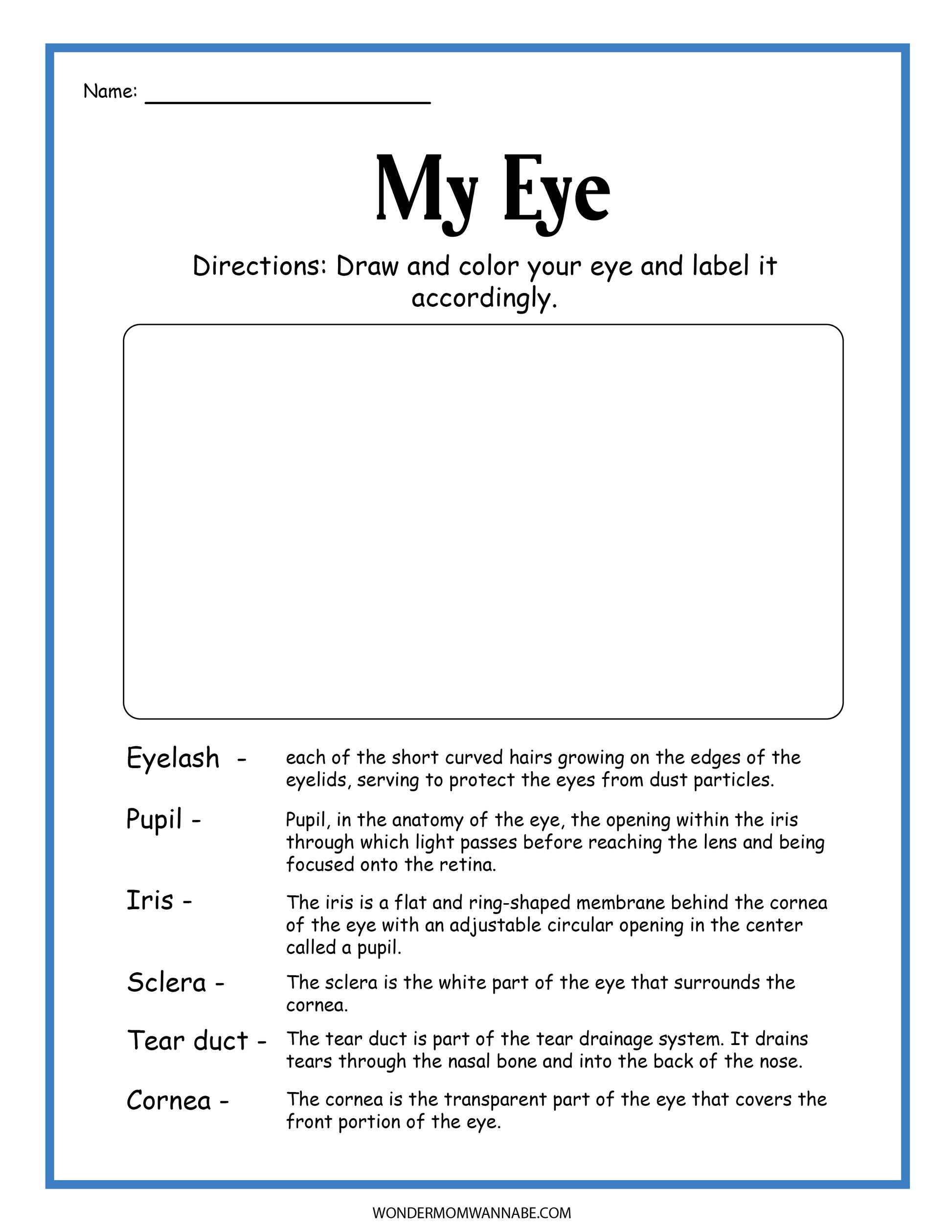 The "Human Eye Activity Set" by Wondermom Shop offers a fun and engaging activity where you can draw and color your eye, labeling it with terms like Eyelash, Pupil, Iris, Sclera, Tear duct, and Cornea. Perfect for educational activities!
