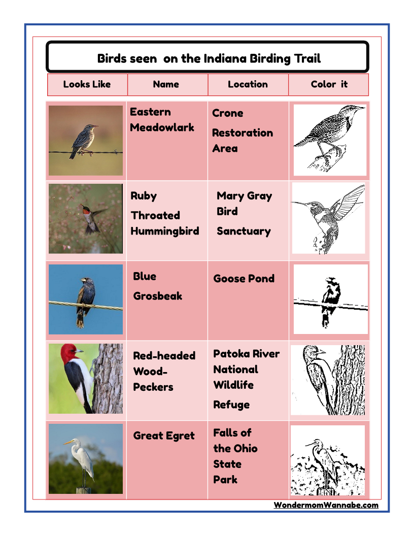 Indiana Travel Guide and Activity Kit for Kids
