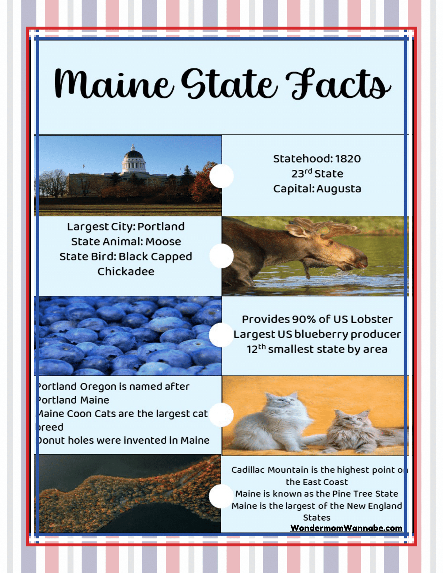 An infographic titled "Maine State Facts," featuring images and information about Maine's statehood, capital, largest city, state bird, state animal, and notable contributions—a perfect addition to the Maine Travel Guide and Activity Kit for Kids by Wondermom Shop.