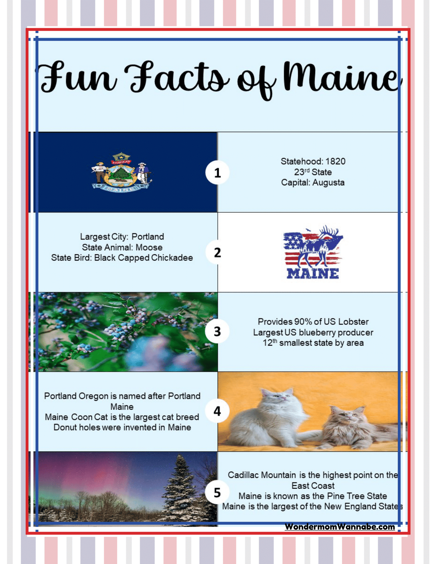 The "Maine Travel Guide and Activity Kit for Kids" by Wondermom Shop offers an informative infographic titled "Fun Facts of Maine," highlighting engaging details like Maine's statehood in 1820, its capital Augusta, and its status as the largest US blueberry producer.