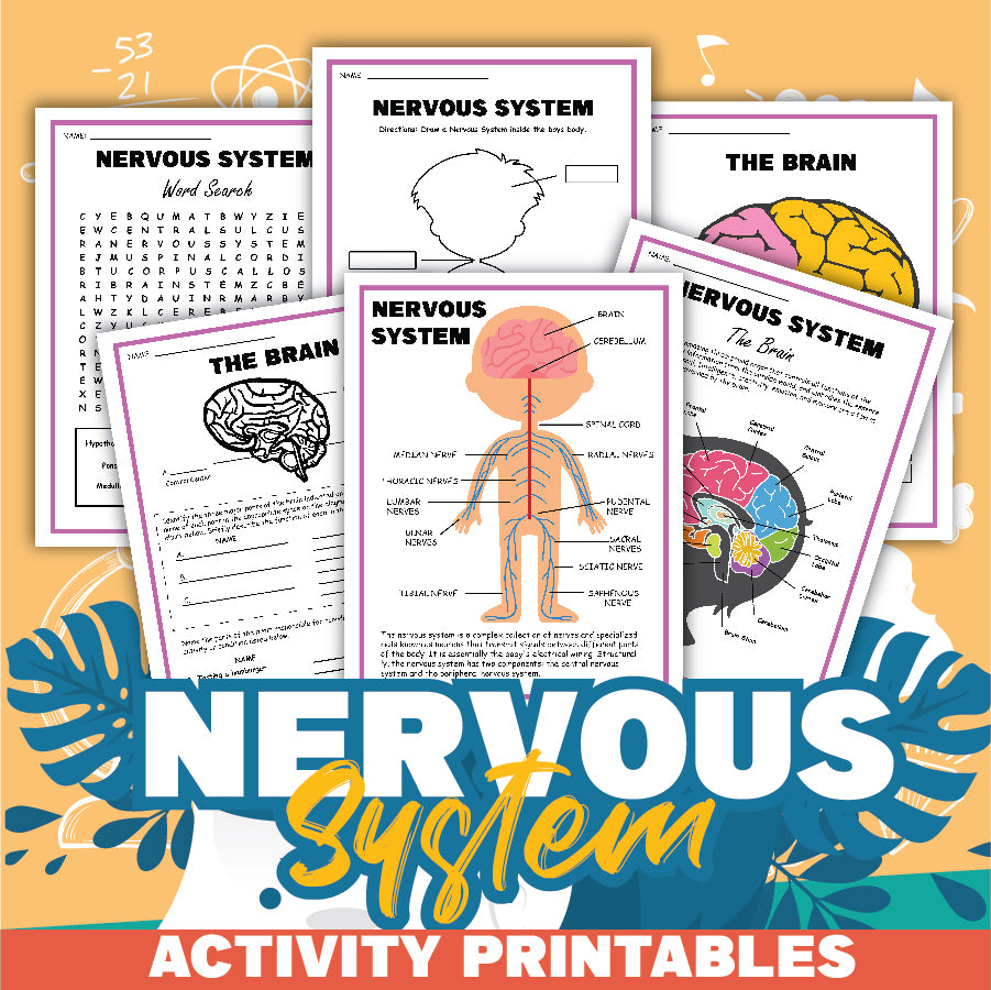 The Nervous System Activity Set by Wondermom Shop includes brain diagram worksheets, a word search, and educational activities, all with colorful backgrounds and decorative elements to inspire learning.
