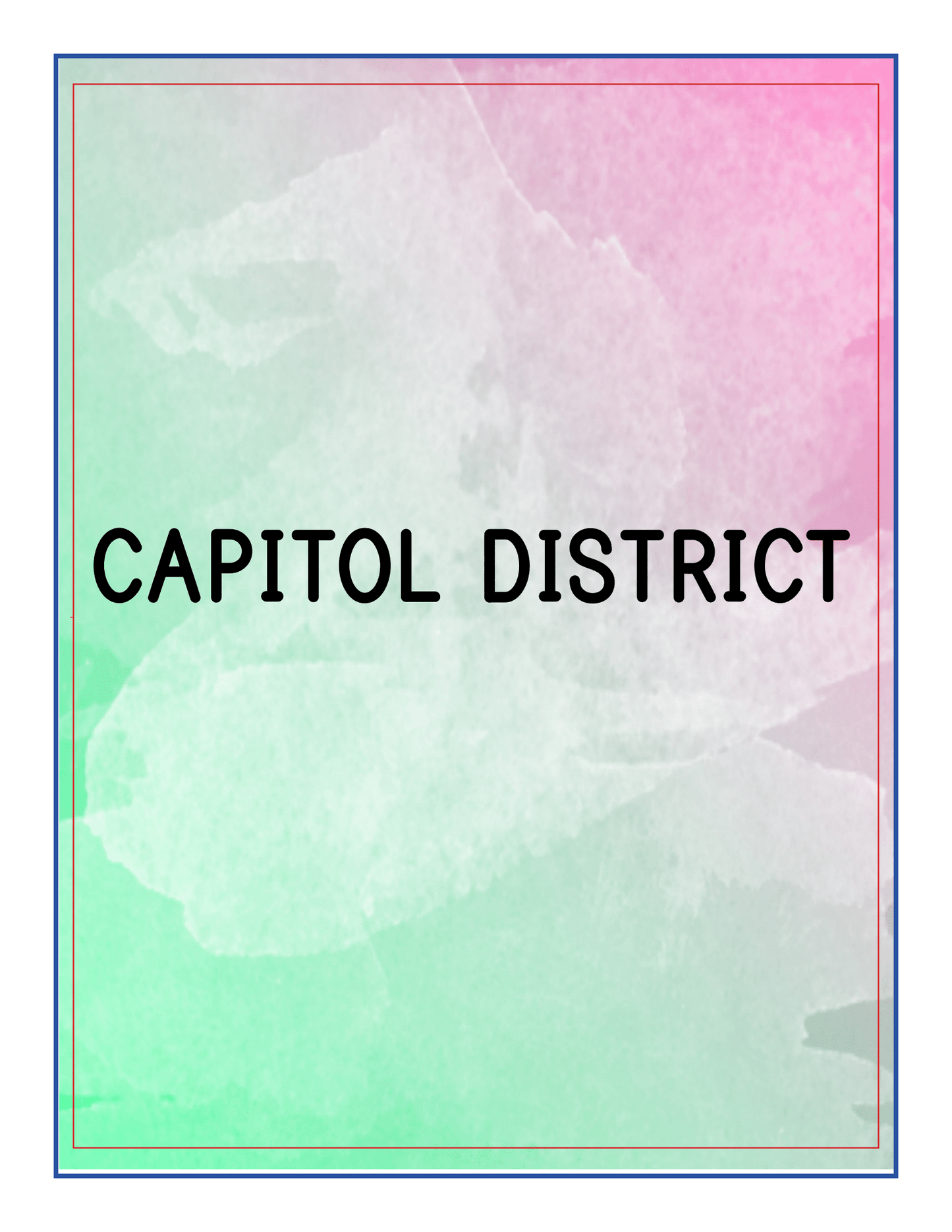 Text "CAPITOL DISTRICT" on a gradient background of green, white, and pink with a thin multi-colored frame, inspired by the vibrant landscapes featured in the Upstate New York Travel Guide and Activity Kit for Kids from Wondermom Shop.