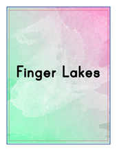 Load image into Gallery viewer, Upstate New York Travel Guide and Activity Kit for Kids
