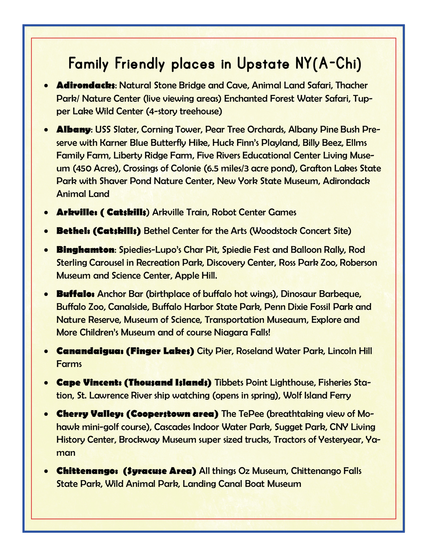 The "Upstate New York Travel Guide and Activity Kit for Kids" by Wondermom Shop features a list titled "Family Friendly places in Upstate New York (A-Chi)" with attractions in locations such as the Adirondacks, Albany, and Auburn. Discover natural parks, museums, safaris, and historical sites in this essential travel guide designed for every family adventure.