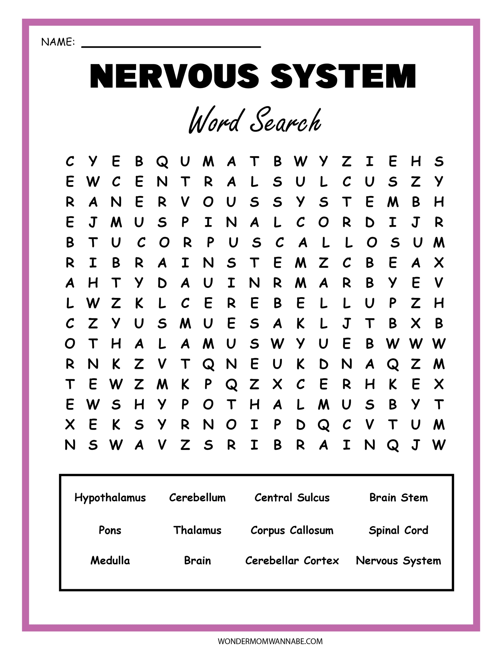 Explore the Nervous System Activity Set by Wondermom Shop! Engage in a word search featuring terms like hypothalamus, cerebellum, and spinal cord. Enhance your knowledge with this educational tool alongside a detailed brain diagram.