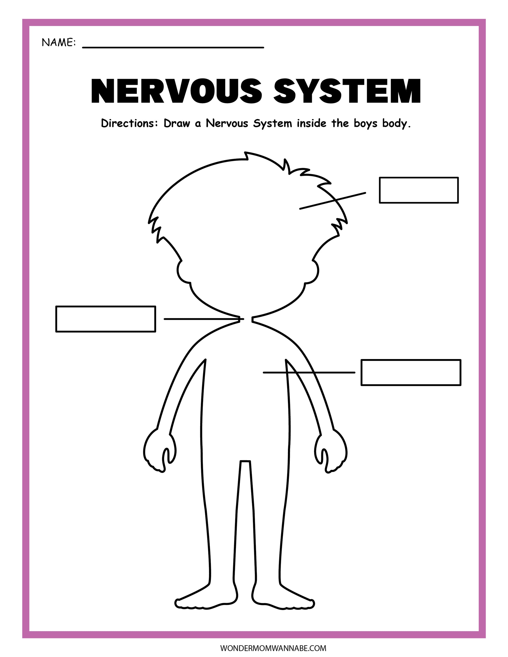 The Nervous System Activity Set by Wondermom Shop includes a boy's outline with blank labels for easy identification in a brain diagram, perfect for educational purposes.