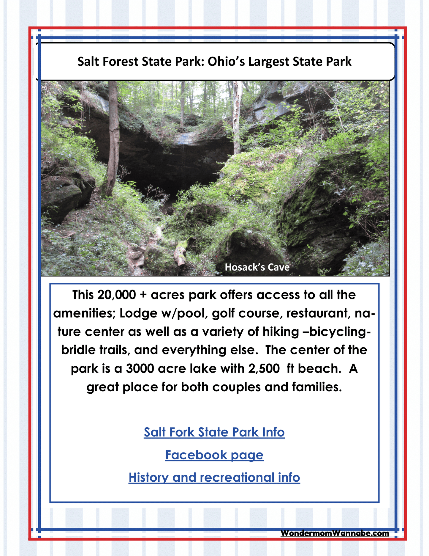 Flyer for Salt Forest State Park, Ohio's largest state park, highlighting amenities like a lodge with a pool, a golf course, and a nature center. The park features a 3000-acre lake and trails. For extra fun, pick up an Ohio Travel Guide and Activity Kit for Kids from Wondermom Shop or grab some coloring pages at the visitor center!