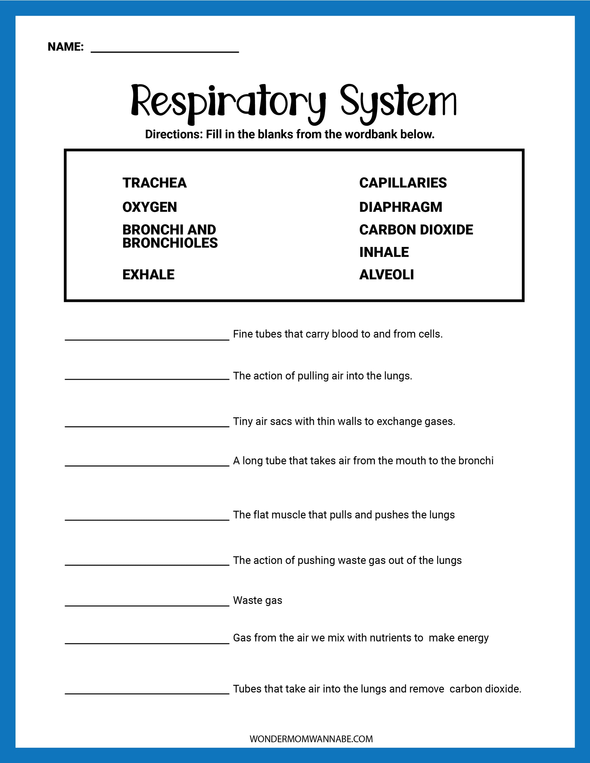 The "Respiratory System Activity Set" from Wondermom Shop offers an engaging activity packet with a word bank and fill-in-the-blank questions focusing on breathing and lung function, ideal for educational exercises that enhance understanding of respiratory processes.