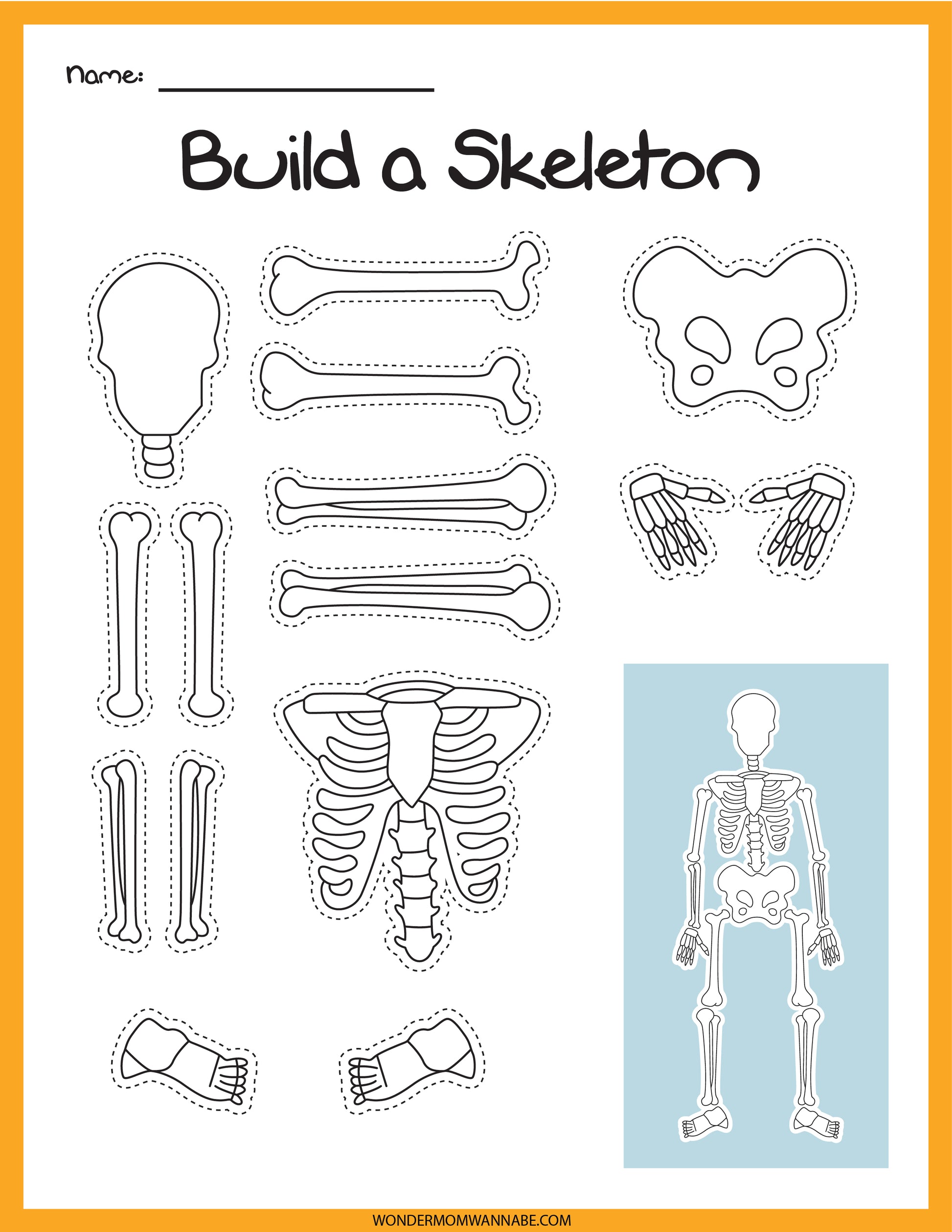Illustration of Wondermom Shop's "Skeletal System Activity Set," showcasing cut-out outlines of human bones with a completed skeletal system guide in the corner.