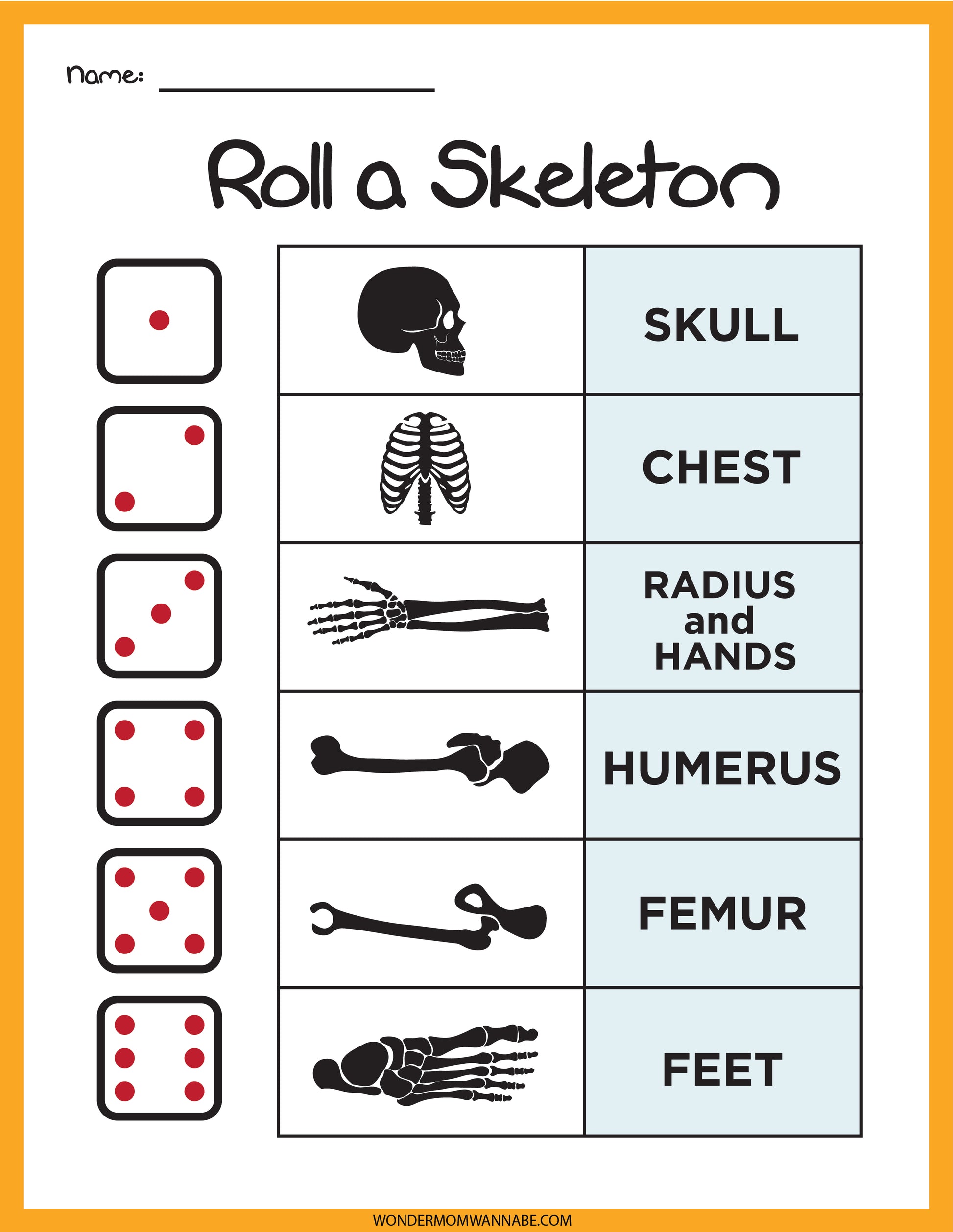 The "Skeletal System Activity Set" by Wondermom Shop provides an engaging educational experience where dice numbers match different parts of the skeleton, including the skull, chest, radius and hands, humerus, femur, and feet. It's perfect for fun learning through play.