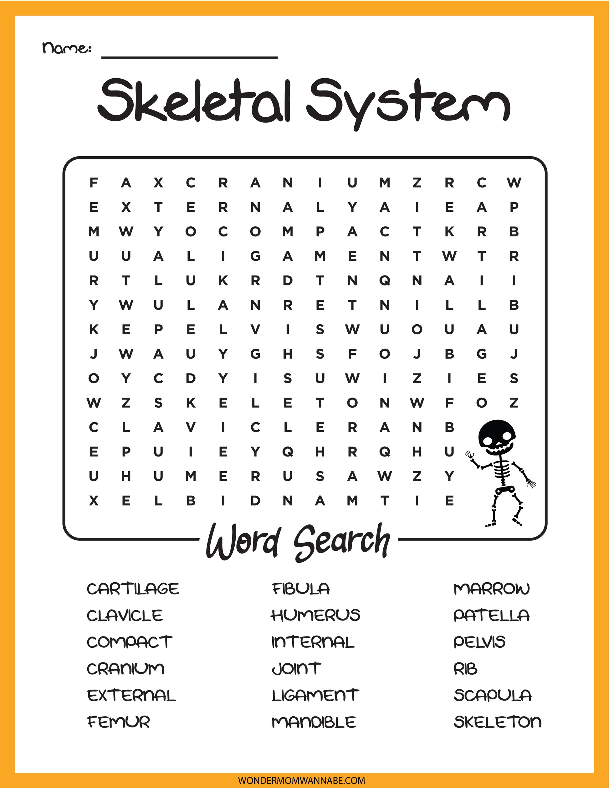 The Skeletal System Activity Set by Wondermom Shop includes a word search puzzle featuring terms such as cartilage, fibula, and human skeleton, along with a small illustration of a skeleton on the right.
