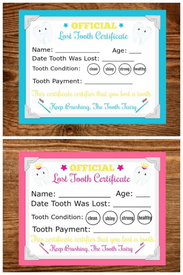 VIP Vault’s Tooth Fairy Letter Blue is a printable certificate with a blue border. The digital product includes spaces for name, age, date, tooth condition, and payment details—perfect for celebrating each “lost tooth” event.