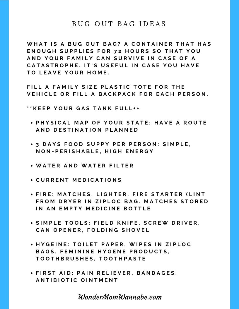 A printable flyer with bug out bag ideas, perfect for emergencies and the Ultimate Prepper Guide by Wondermom Shop.