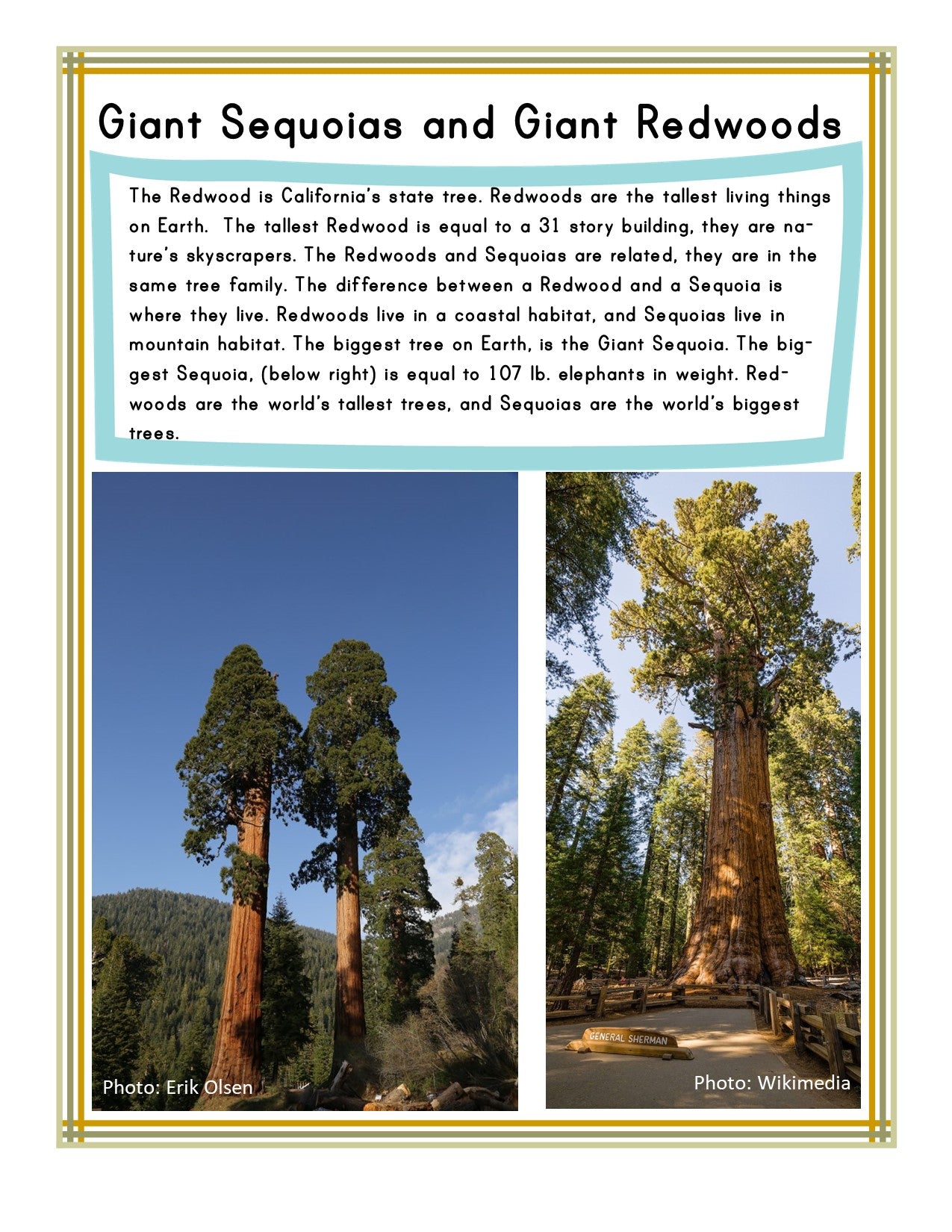 California Travel Guide and Activity Kit for Kids