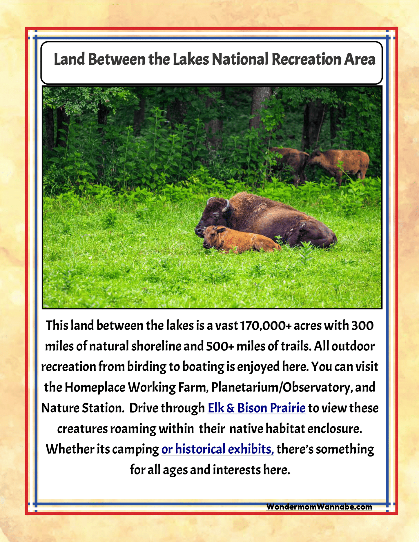 Explore the Land Between the Lakes National Recreation Area with our Wondermom Shop Kentucky Travel Guide and Activity Kit for Kids. This incredible family attraction in Kentucky offers vast natural spaces, scenic trails, and thrilling outdoor adventures. Make sure to check out highlights like the Elk & Bison Prairie featured in your travel guide!