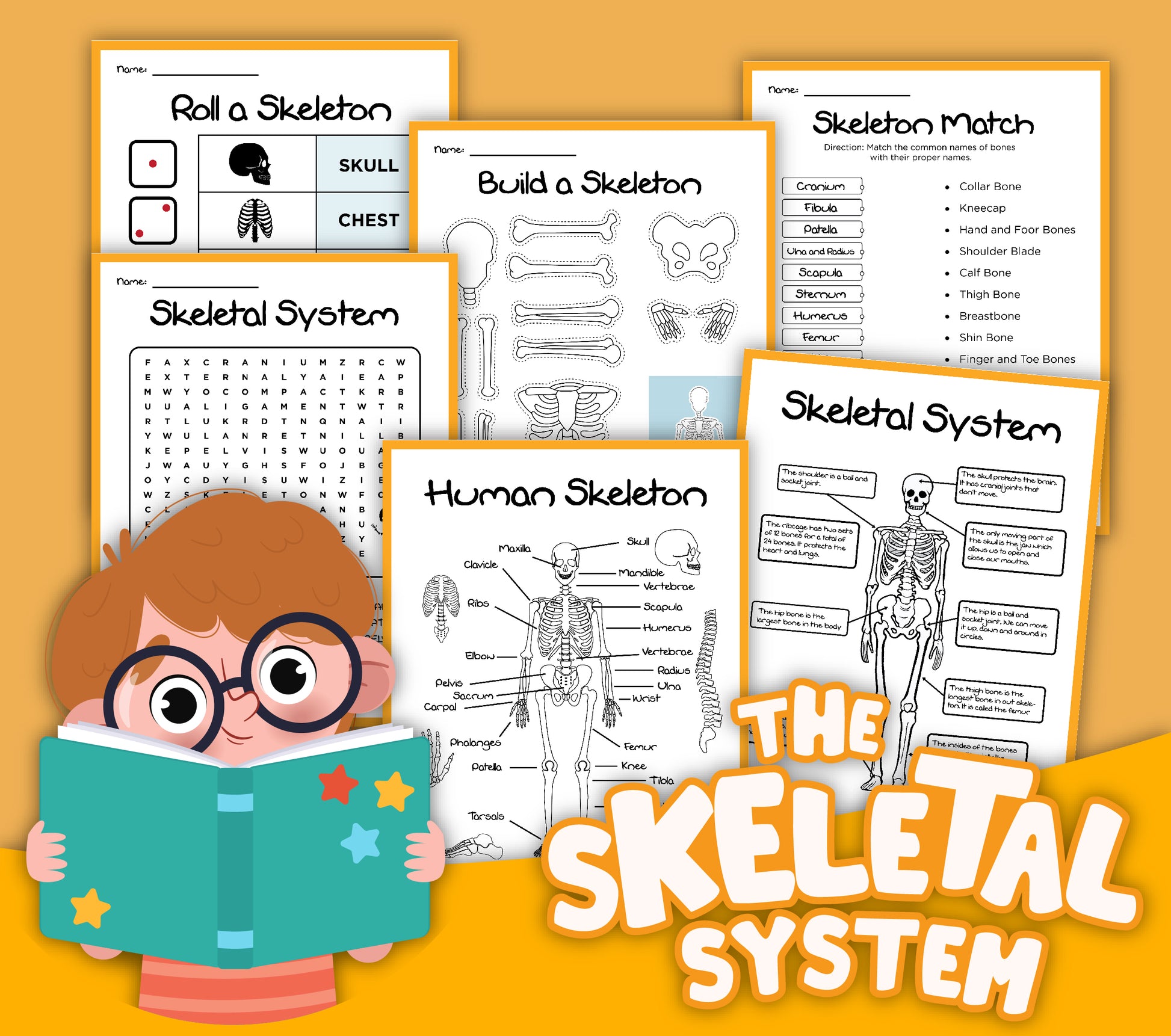 The Wondermom Shop's Skeletal System Activity Set offers interactive worksheets for building and matching skeletons, labeling exercises, and an entertaining word search. A cartoon character holding a book adds an engaging and enjoyable element to these educational activities.