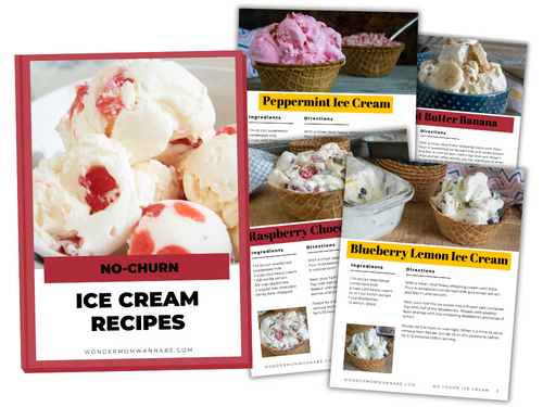 Wondermom Wannabe's Homemade frozen treats - No Churn Ice Cream Recipes Digital Cookbook.