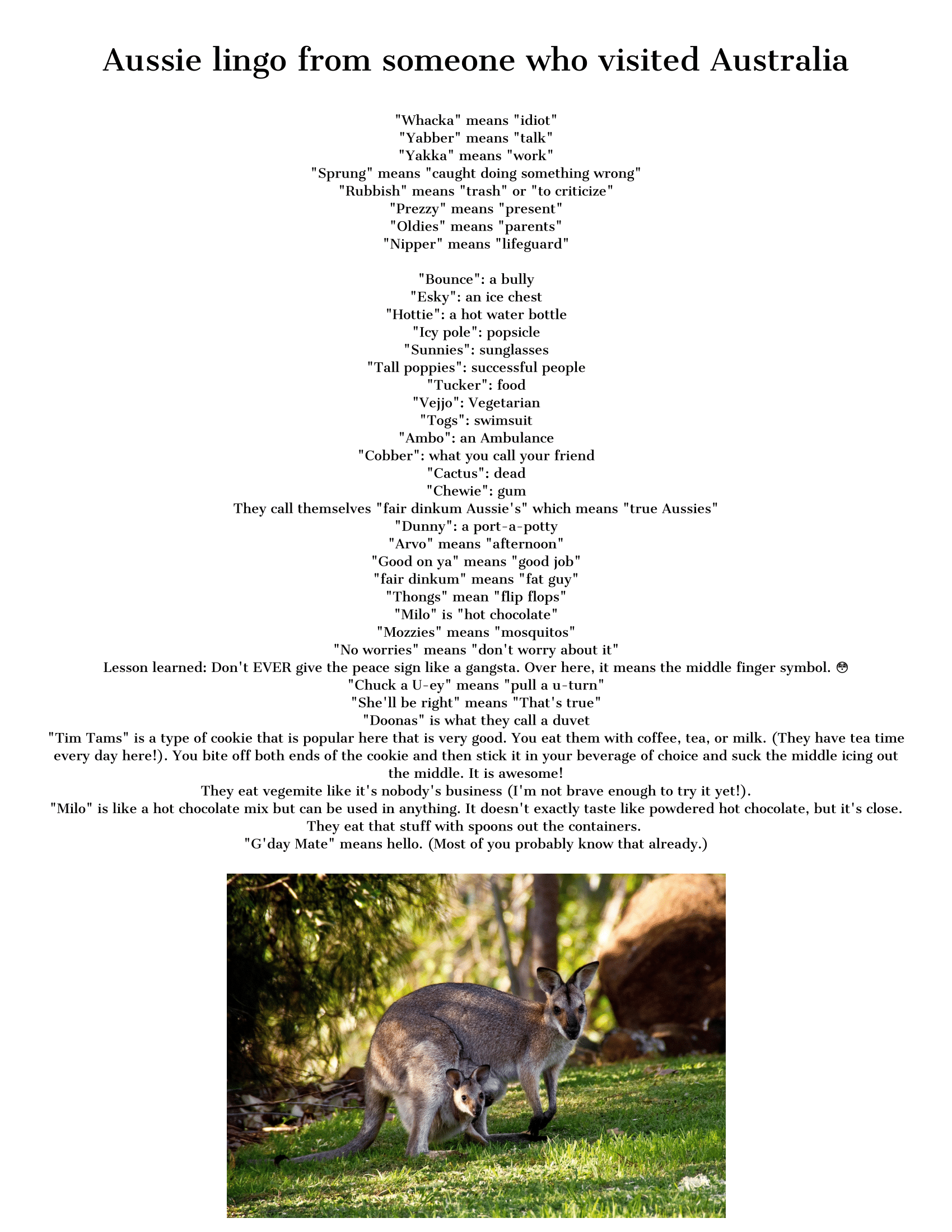 Image featuring a list of Australian slang terms and their meanings. At the bottom, there is a photo of a wombat and a kangaroo standing on grass, perfectly complementing your Wondermom Shop Adventures in Australia Activity Pack.