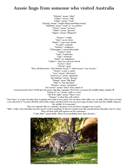 Image featuring a list of Australian slang terms and their meanings. At the bottom, there is a photo of a wombat and a kangaroo standing on grass, perfectly complementing your Wondermom Shop Adventures in Australia Activity Pack.