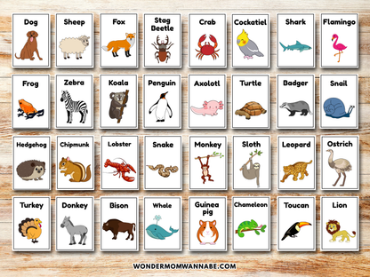 Animal Game Cards
