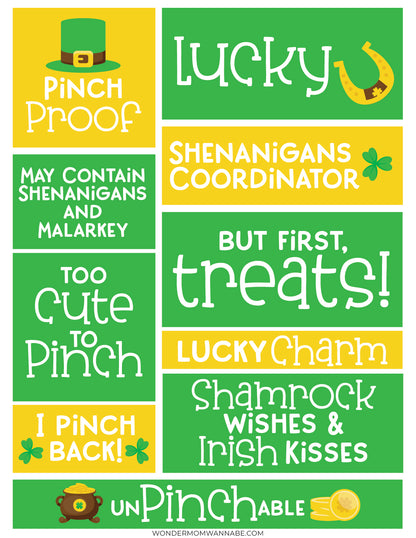 Discover the "You’ve Been Pinched" festive treat bag by VIP Vault, featuring green and yellow St. Patrick's Day-themed phrases like "Lucky Charm" and "Too Cute to Pinch," adorned with shamrock and hat illustrations. This cheerful set is perfect for your holiday celebrations!.