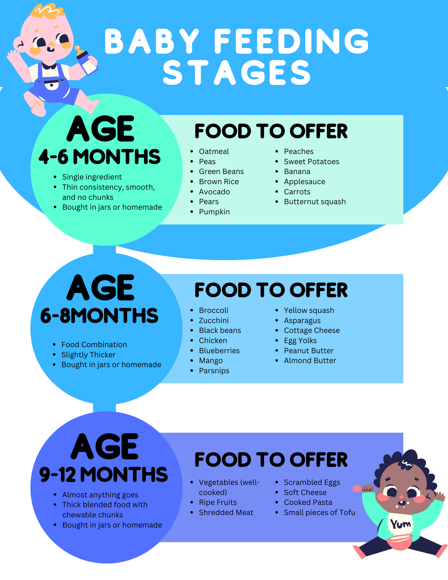 Introducing the "Baby Food Stages" chart by Wondermom Printables, which details baby feeding stages along with age ranges, food types, and descriptions. For ages 4-6 months, it includes single ingredients; for 6-8 months, it features food combinations; and for 9-12 months, it introduces finger foods.