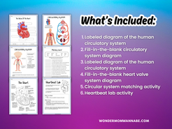 Circulatory System Activity Set – Printable Heart Diagram, Word Scramb ...