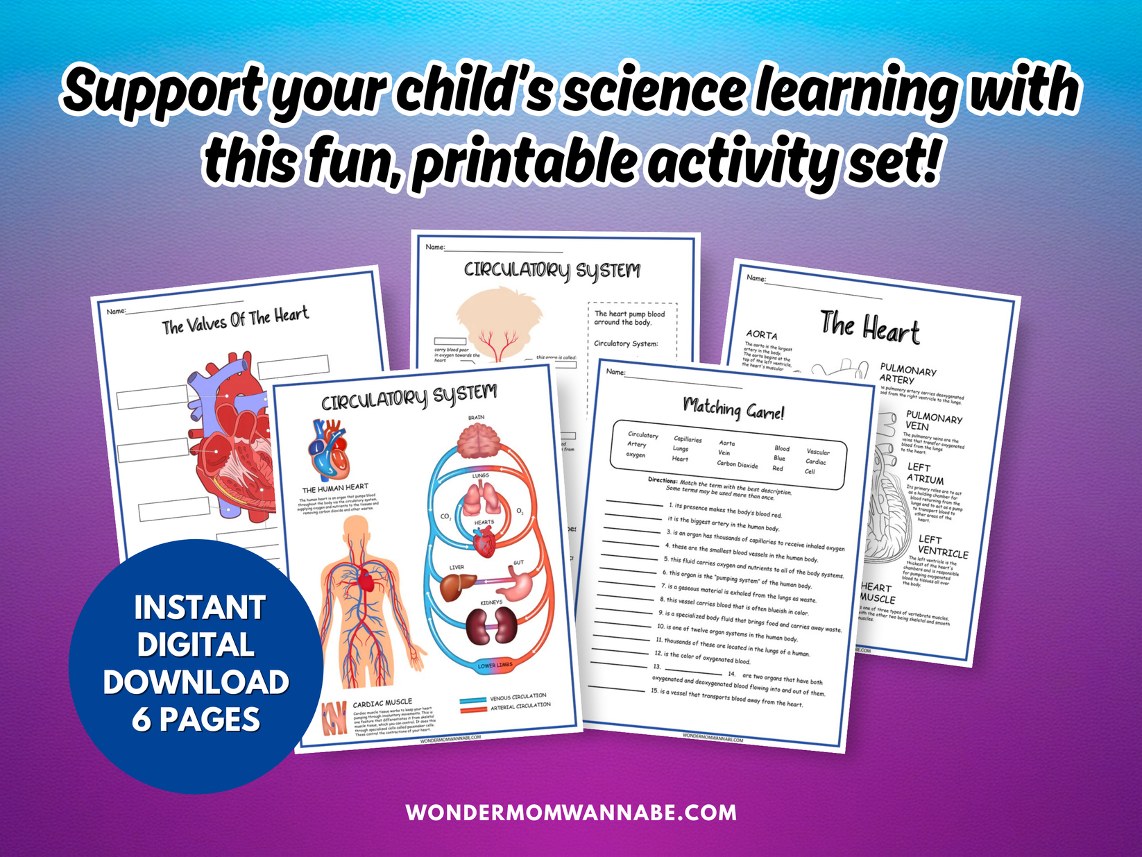 Circulatory System Activity Set – Printable Heart Diagram, Word Scramb ...