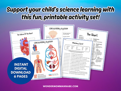 Circulatory System Activity Set – Printable Heart Diagram, Word Scrambles, Blood Flow Activities & More