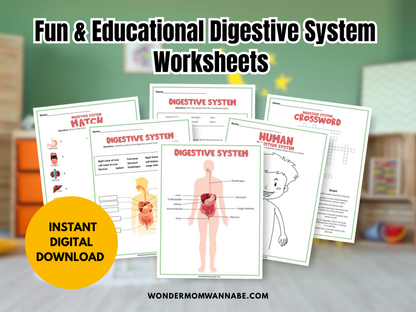 Digestive System Activity Set