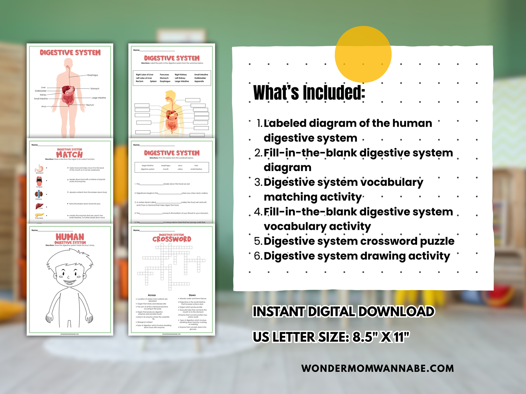 Digestive System Activity Set – Printable Digestive Diagram, Word Sear ...