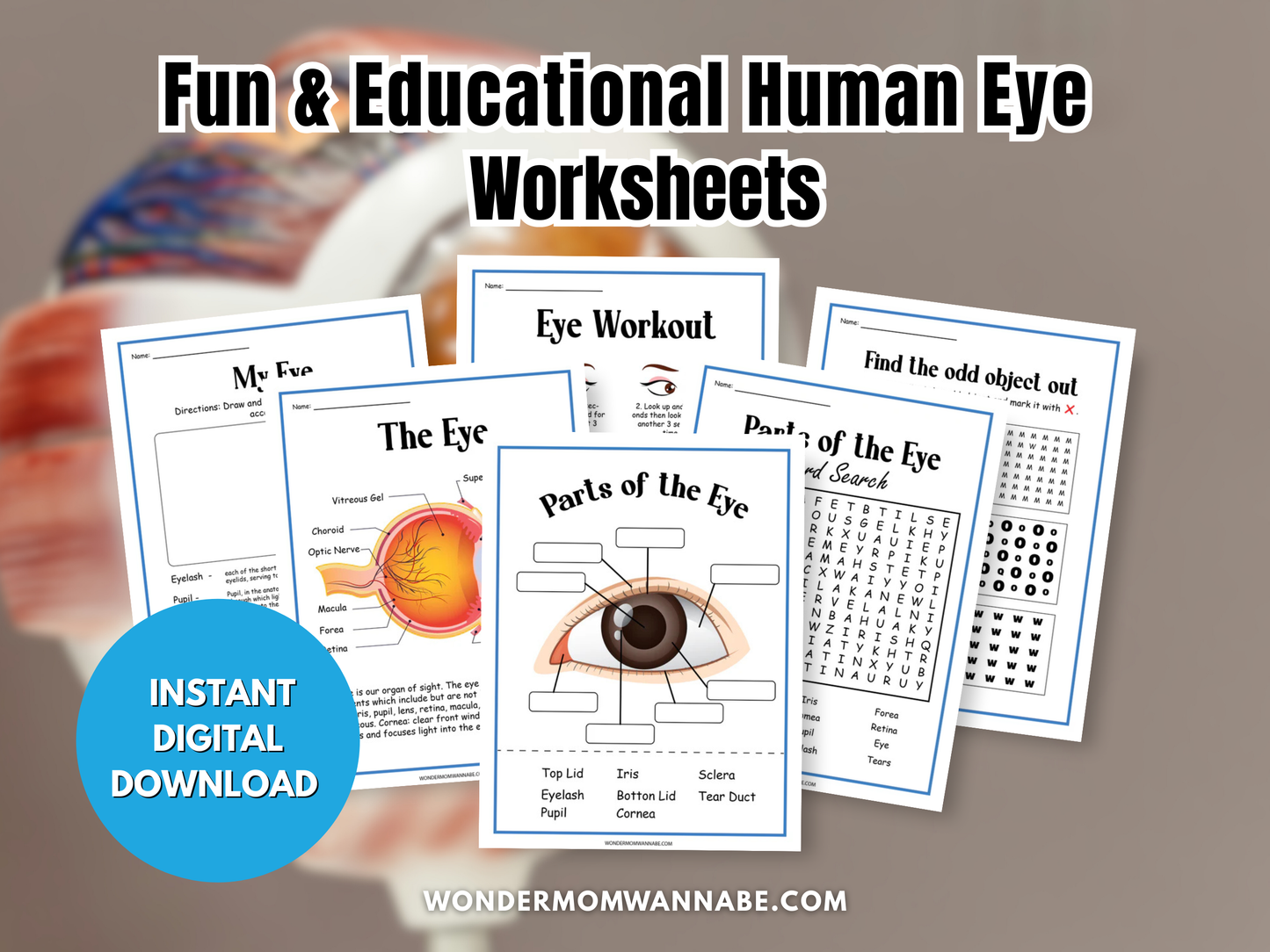 Human Eye Activity Set