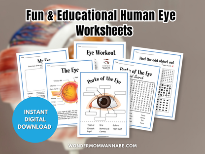 Human Eye Activity Set