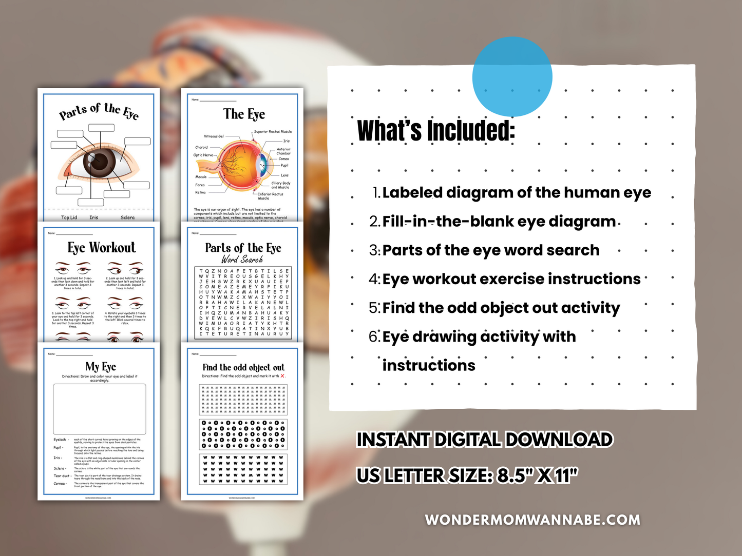 Human Eye Activity Set